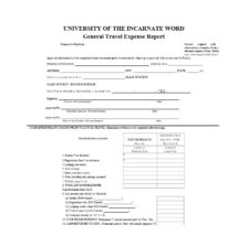 Travel Expense Report Template