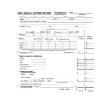 Travel Expense Report Template