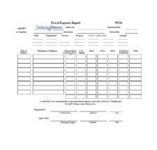 Travel Expense Report Template