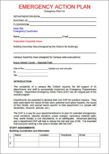 construction emergency action plan template Templateral