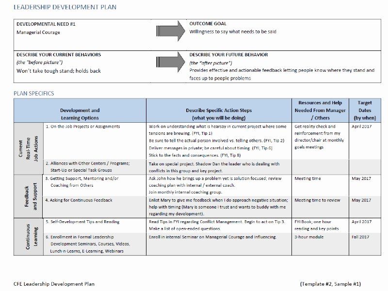 leadership action plan template sample