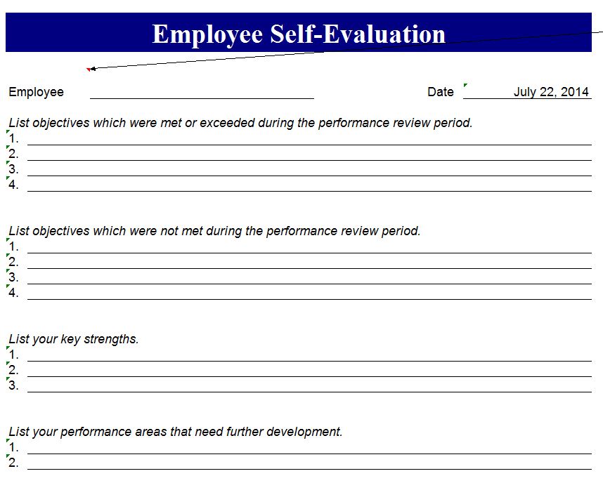 sample of self employee performance evaluation